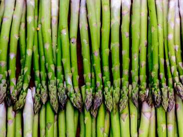 Dementia-and-folate-Is-there-a-link.jpg