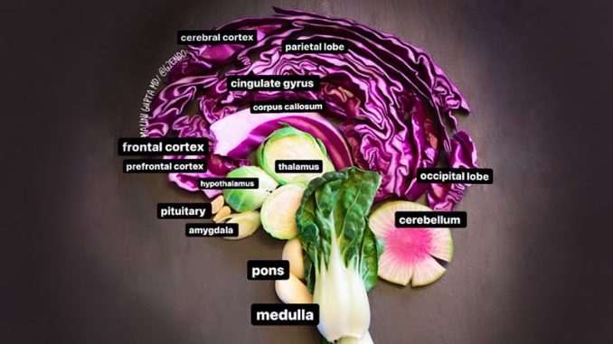 Food-for-Thought-Endocrinologist-Uses-Food-Art-to-Teach-Patients.jpg