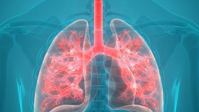 Higher-BMI-linked-to-improved-lung-function-in-cystic-fibrosis.jpg