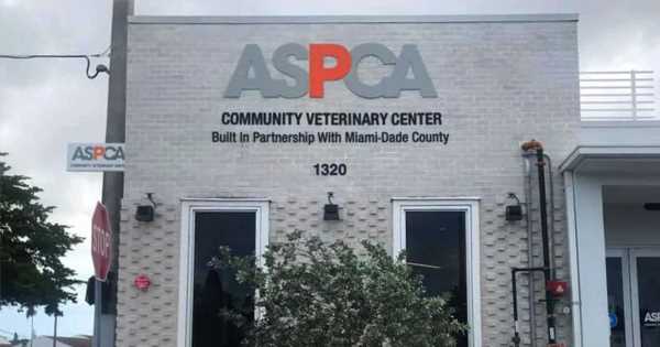 Miami-Community-Veterinary-Center-Kicks-Off-Third-Year-Providing-Affordable-Care-for-Liberty-Citys-Pets.jpg