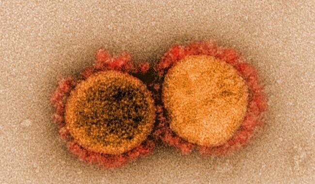 Mother-to-baby-transmission-of-COVID-19-infection-possible-but-rare-study.jpg