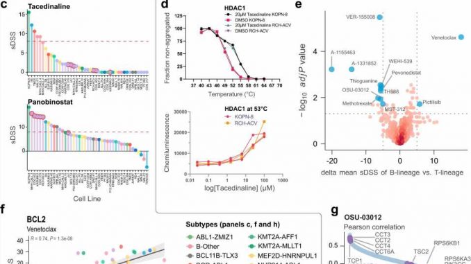 New-tool-explores-biological-differences-and-new-targeted-therapies-in-childhood-acute-lymphoblastic-leukemia.jpg