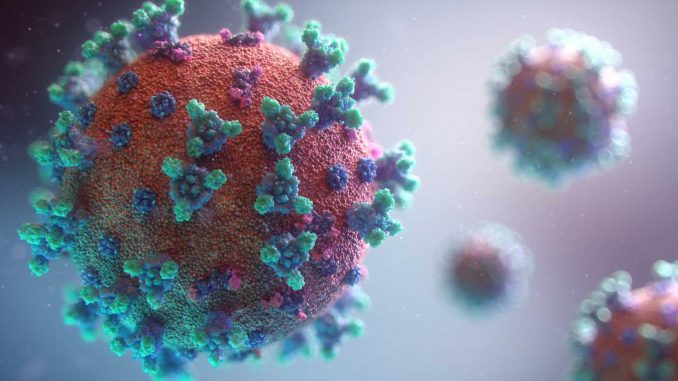 Researchers-find-cohorting-patient-care-model-during-pandemic-improved-patient-outcomes.jpg