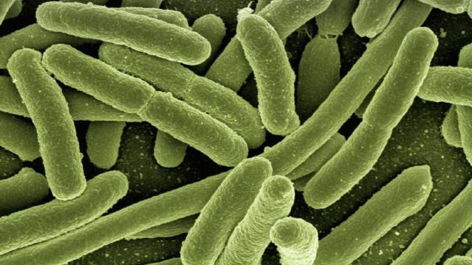 Scientists-develop-synthetic-antibiotics-that-could-save-millions-of-lives.jpg