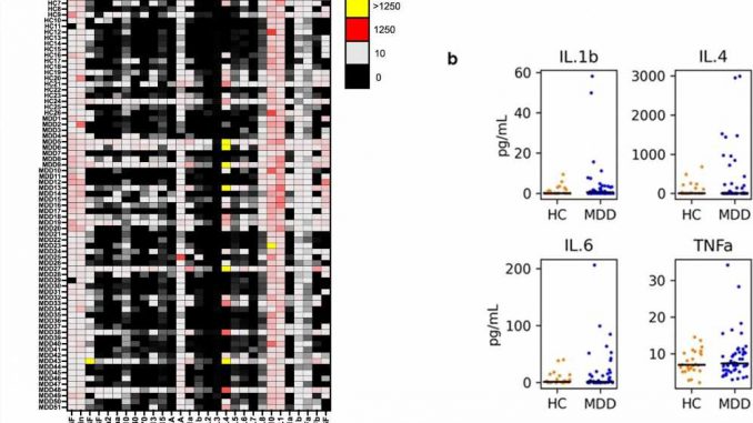 Study-finds-inflammation-is-not-always-linked-to-depression.jpg