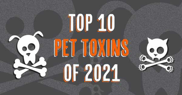 The-Top-10-Pet-Toxins-of-2021.jpg