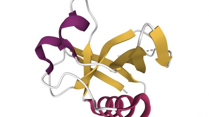 Triple-drug-regimen-proven-effective-against-non-structural-protein-1-of-SARS-CoV-2.jpg