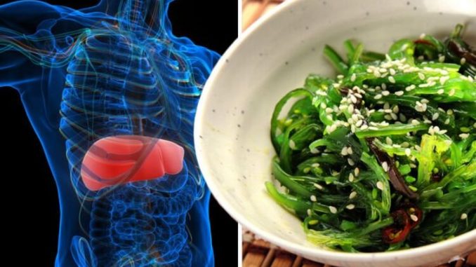 Fatty-liver-disease-Algae-supplement-could-combat-most-damaging-effects-of-disease.jpg