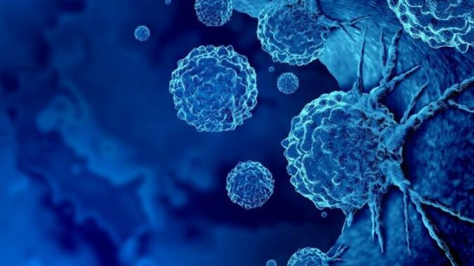 Tumour-cell-switch-off-drug-found-Study.jpg