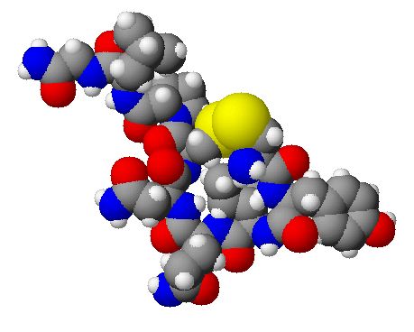 We-are-more-satisfied-with-life-as-we-age-thanks-to-this-neurochemical.jpg