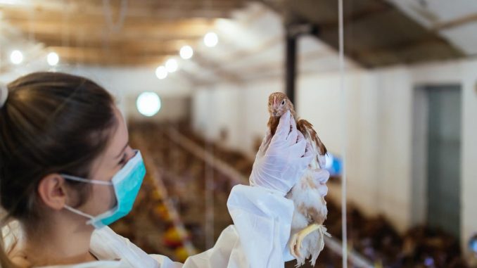 Characterizing-spillover-dynamics-and-global-transmission-patterns-of-avian-influenza-A-viruses.jpg