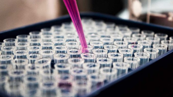 Phase-I-of-first-in-human-clinical-trial-of-bifunctional-immunotherapeutic-for-advanced-solid-tumor-cancers.jpg