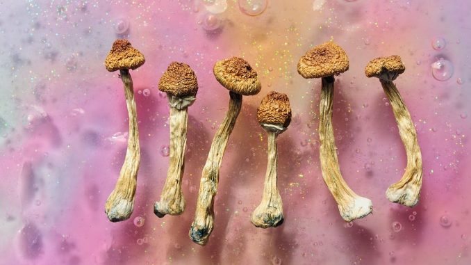 Psychedelics-How-they-act-on-the-brain-to-relieve-depression.jpg