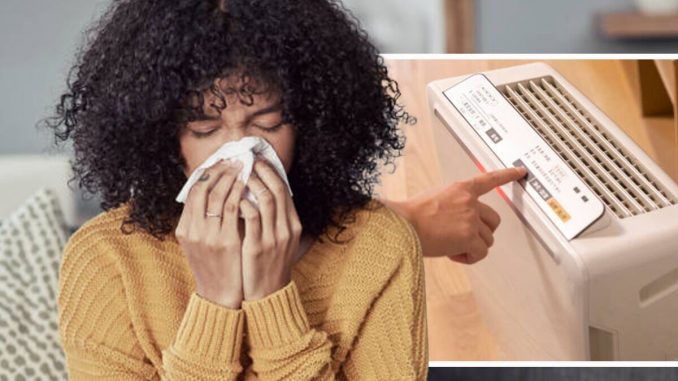 ‘Beneficial-to-your-overall-wellbeing-How-to-reduce-hay-fever-symptoms-at-night-tips.jpg