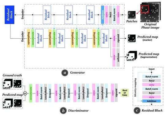 Is-transfusion-blood-safe-AI-holography-system-checks-blood-quality-without-injections.jpg