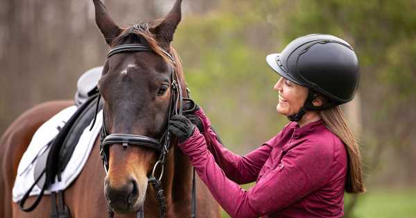 Back-to-School-Shopping—Horse-Edition.jpg
