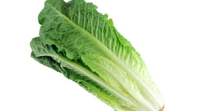 More-cases-in-E.-coli-outbreak-tied-to-Wendys-restaurant-lettuce.jpg