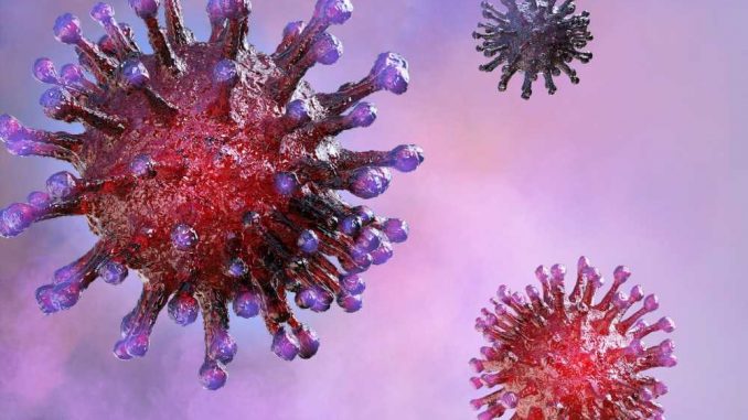 Study-demonstrates-how-pan-sarbecovirus-ORF7a-protein-plays-a-role-in-evading-host-immunity.jpg