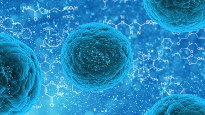 cfarmafotostemcells.jpg