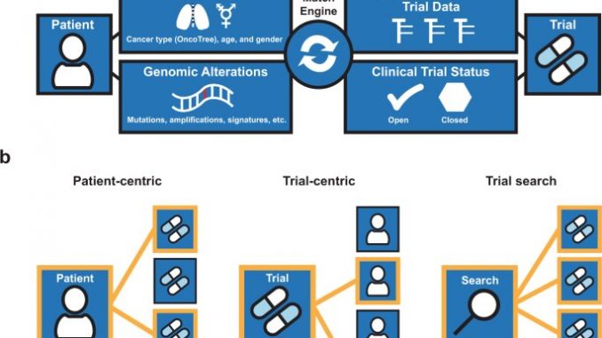 New-computer-platform-helps-match-patients-with-cancer-to-trials-of-targeted-therapy.jpg