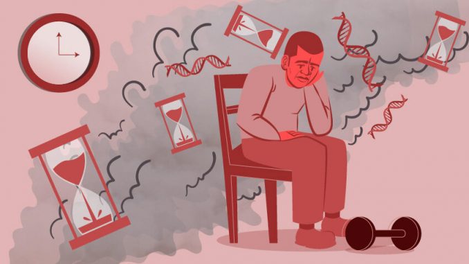 Is-muscle-weakness-the-new-smoking-Grip-strength-tied-to-accelerated-biological-age-study-shows.jpg