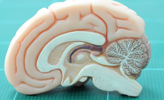 Neurotechnology-shows-potential-for-future-medical-interventions-in-humans.jpg