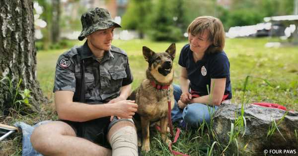 Animals-in-Need—and-Meeting-Needs—on-the-Front-Lines-of-the-War-in-Ukraine.jpg