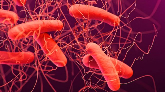 FDA-OKs-First-Fecal-Transplant-Therapy-for-Recurrent-C-difficile.jpg