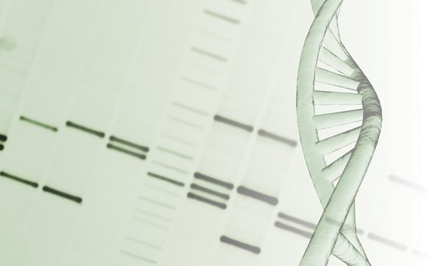 Researchers-design-3D-structures-made-of-DNA.jpg