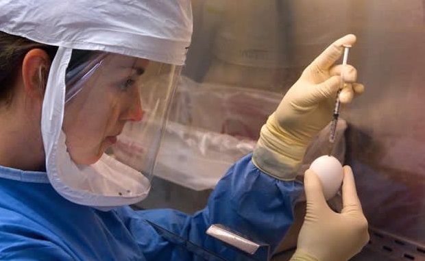 Study-finds-pandemic-associated-traumatic-stress-among-mothers.jpg