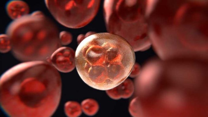 Young-cancer-survivors-face-elevated-risk-of-developing-cardiovascular-disease-but-factors-that-may-impact-this-risk.jpg