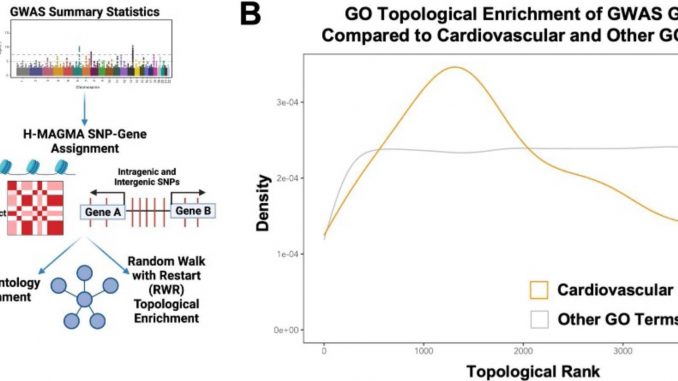 139-genetic-risk-loci-associated-with-varicose-veins-identified.jpg
