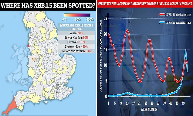 Britain-suffers-worst-flu-season-for-decade-as-weekly-death-toll-soars.jpg