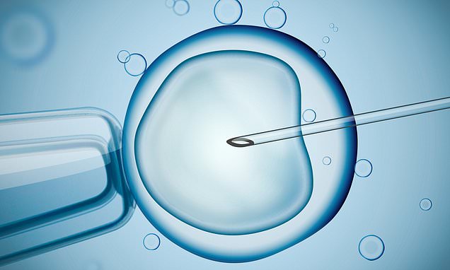 Drinking-alcohol-may-ruin-a-mans-chance-of-having-a-child-using-IVF.jpg