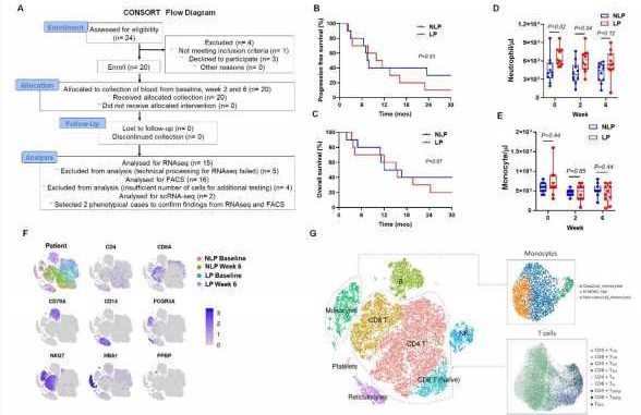 Patients-with-brain-cancer-may-benefit-from-treatment-to-boost-white-blood-cells.jpg
