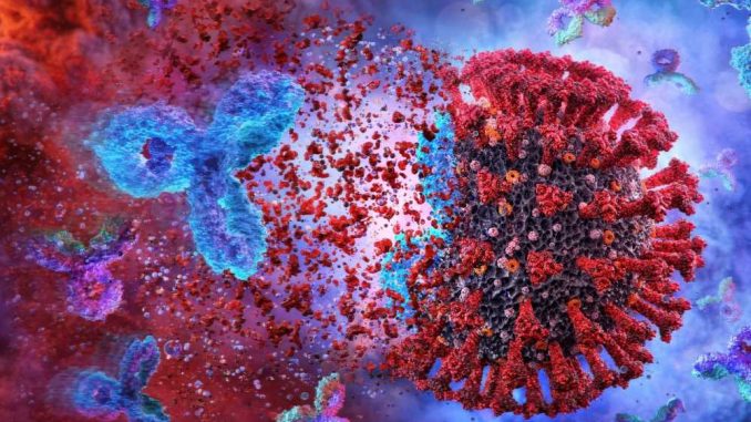 Rapid-engineering-of-novel-SARS-CoV-2-therapeutic-antibodies.jpg