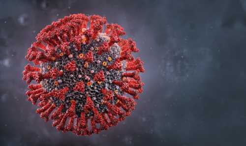 Recent-findings-on-original-antigenic-sin-and-SARS-CoV-2.jpg