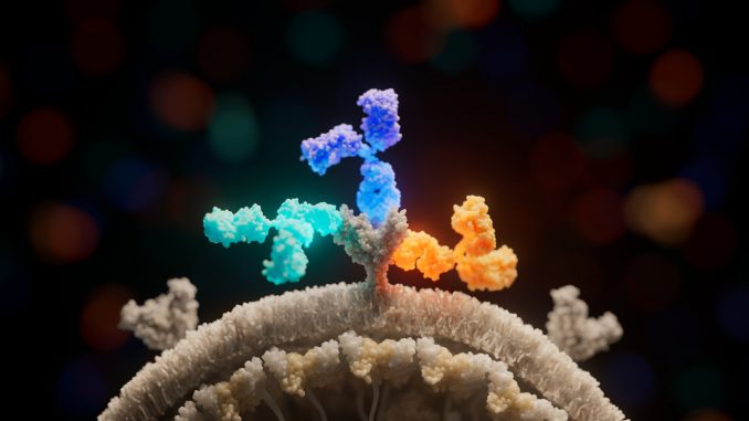Scientists-uncover-the-structure-and-function-of-Inmazeb-the-first-FDA-approved-drug-for-Ebola-virus-infection.jpg
