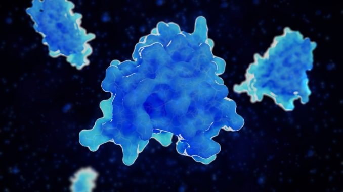 Sex-specific-patterns-of-cytokine-activation-in-the-hippocampus-post-immunological-challenge.jpg