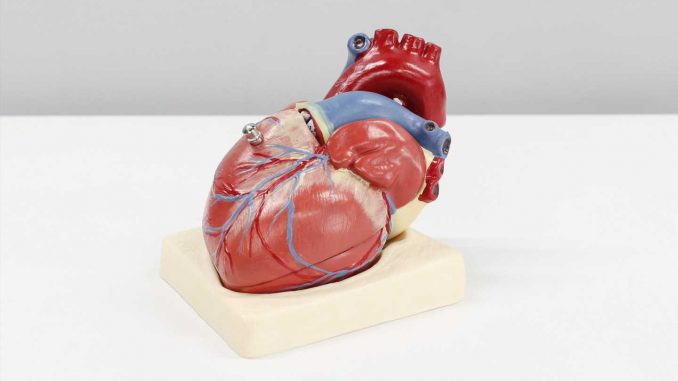 Study-finds-rural-residents-have-19-higher-risk-of-heart-failure-than-their-urban-counterparts.jpg