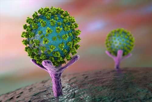 Study-suggests-Alzheimers-disease-diagnosis-is-associated-with-higher-levels-of-soluble-ACE2-in-the-human-brain.jpg