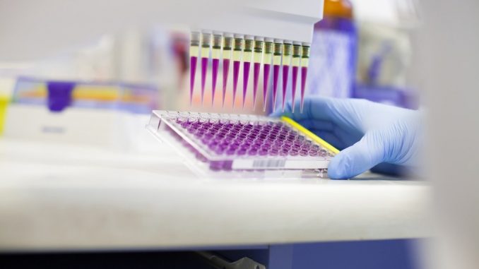 A-novel-multiplexed-assay-to-diagnose-Mpox-and-other-viruses.jpg