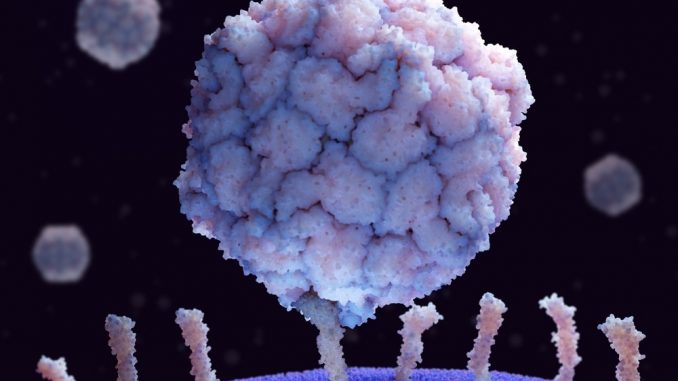 Detection-of-wild-poliovirus-type-3-in-the-Netherlands.jpg