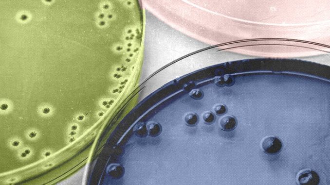 Obesity-Study-sheds-light-on-how-immune-cells-may-be-involved.jpg