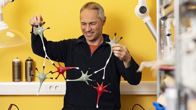 Researcher-builds-kit-designed-to-make-our-brains-activity-easier-for-students-to-understand.jpg