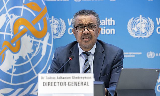 WHO-warns-aposwe-must-prepareapos-for-potential-bird-flu-pandemic.jpg