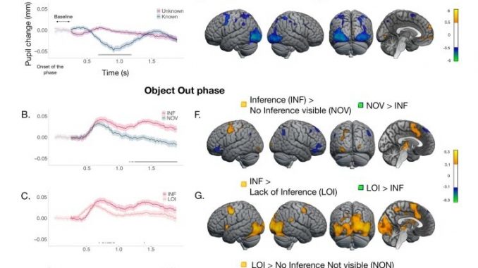 Study-reveals-the-cerebral-basis-of-non-verbal-deductive-reasoning.jpg