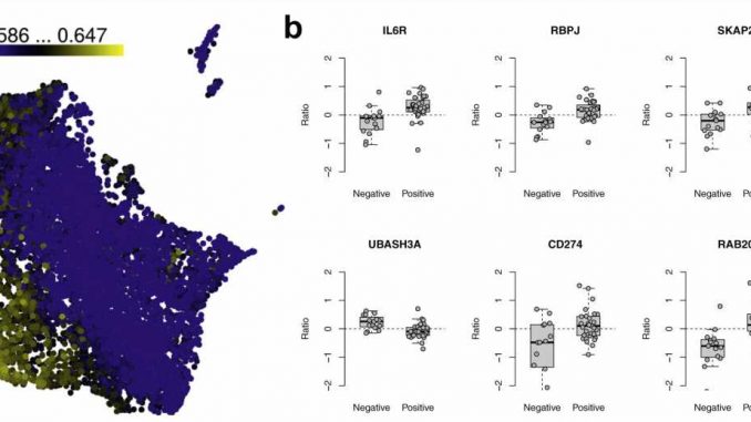 Researchers-identify-gene-expression-signature-that-predicts-progression-of-type-1-diabetes.jpg