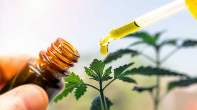 CBD-and-THC-promising-remedies-for-aluminum-related-neurological-damage.jpg