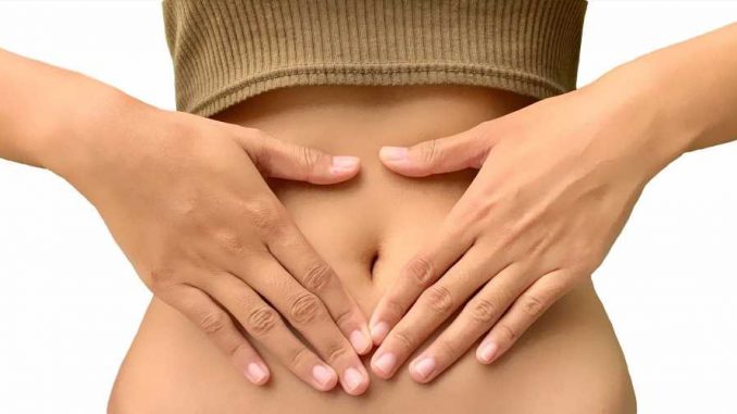 Mouse-study-shows-how-diet-altered-by-gut-microbes-spurs-development-of-immune-cells.jpg